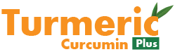 Turmeric Curcumin Plus Official Logo